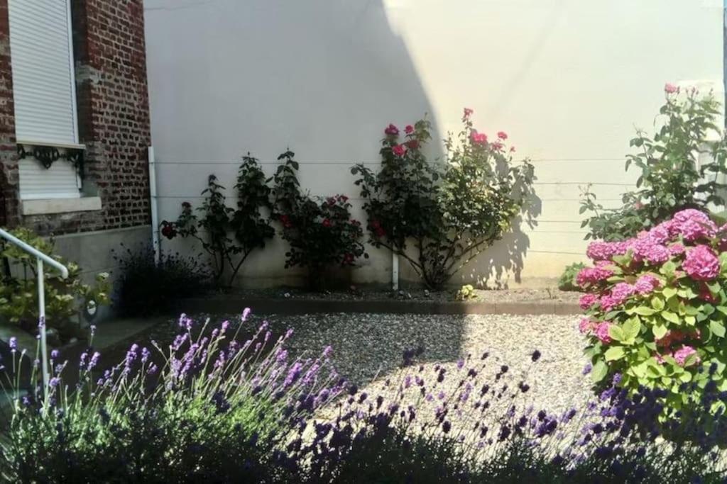 Appartement Calme A 300 M De La Plage-Centre Ville - Quiet Appartment 300 M Near City And Beach Mers-les-Bains Exterior photo